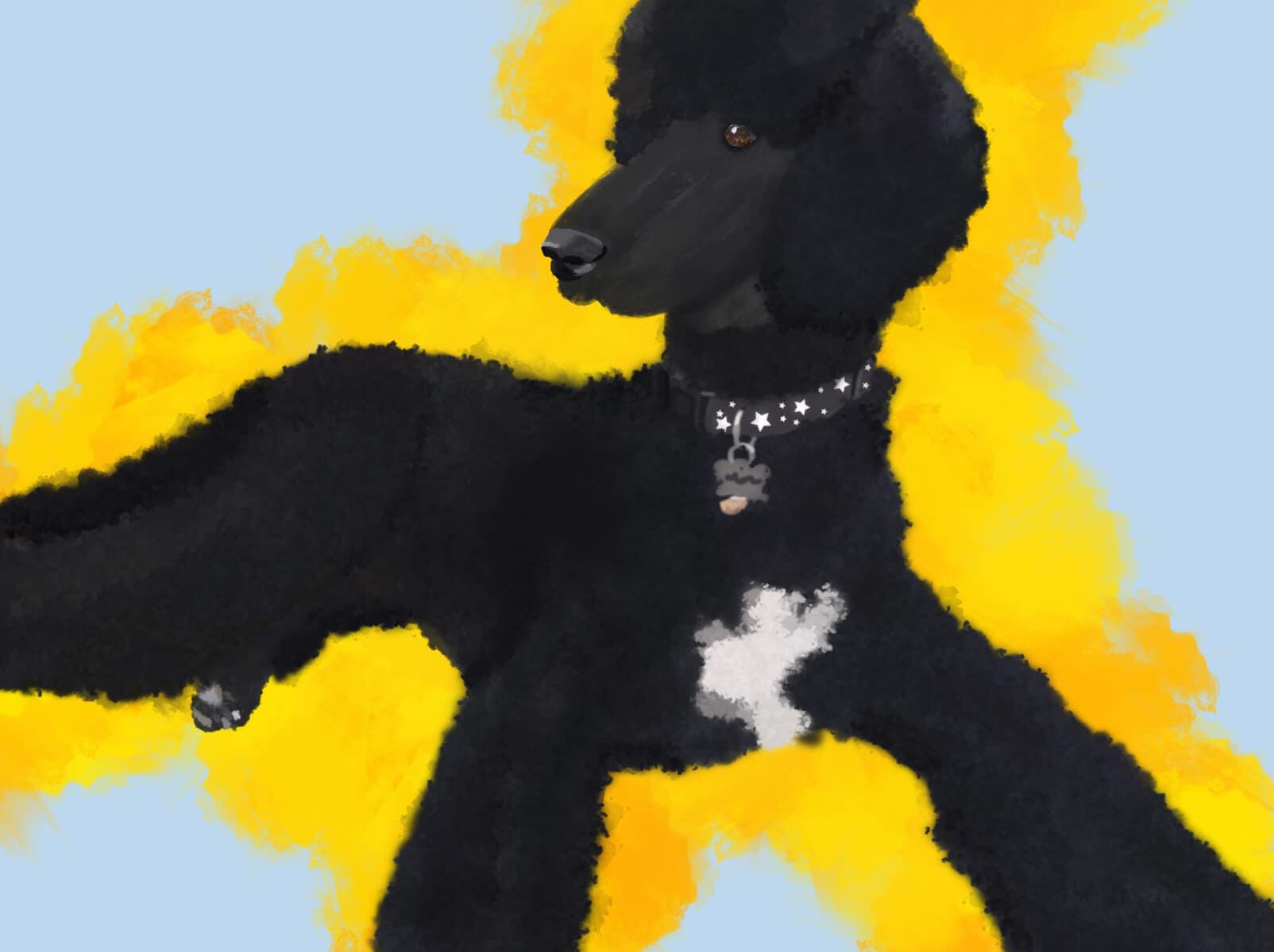 Painted Poodle